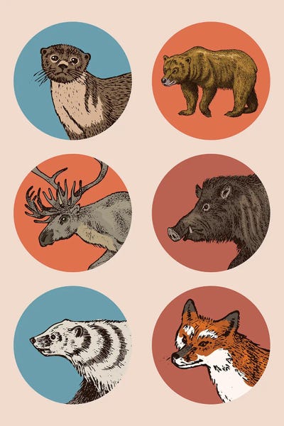 Badgers: Animal Circles II by jay stanley