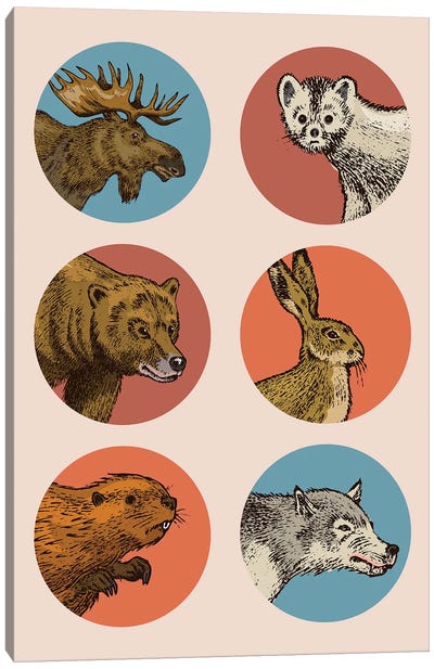 Animal Circles Canvas Art Print - Moose Art