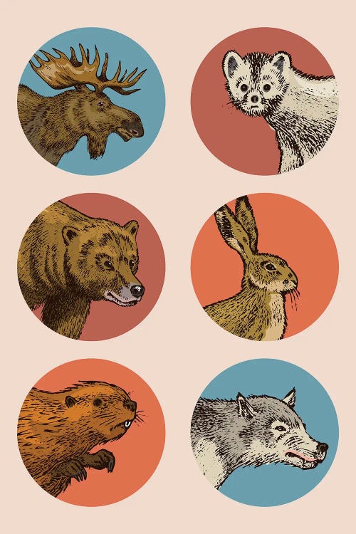 Animal Circles by jay stanley wall art