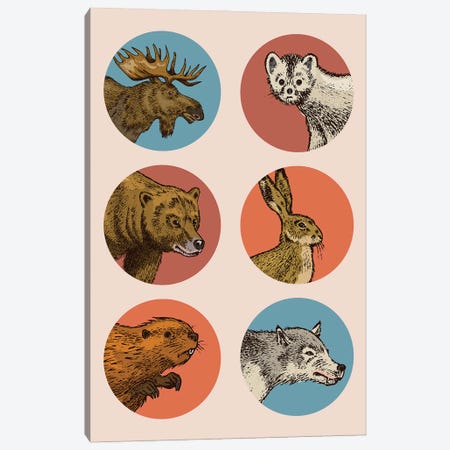 Animal Circles Canvas Print #STY76} by Jay Stanley Canvas Artwork