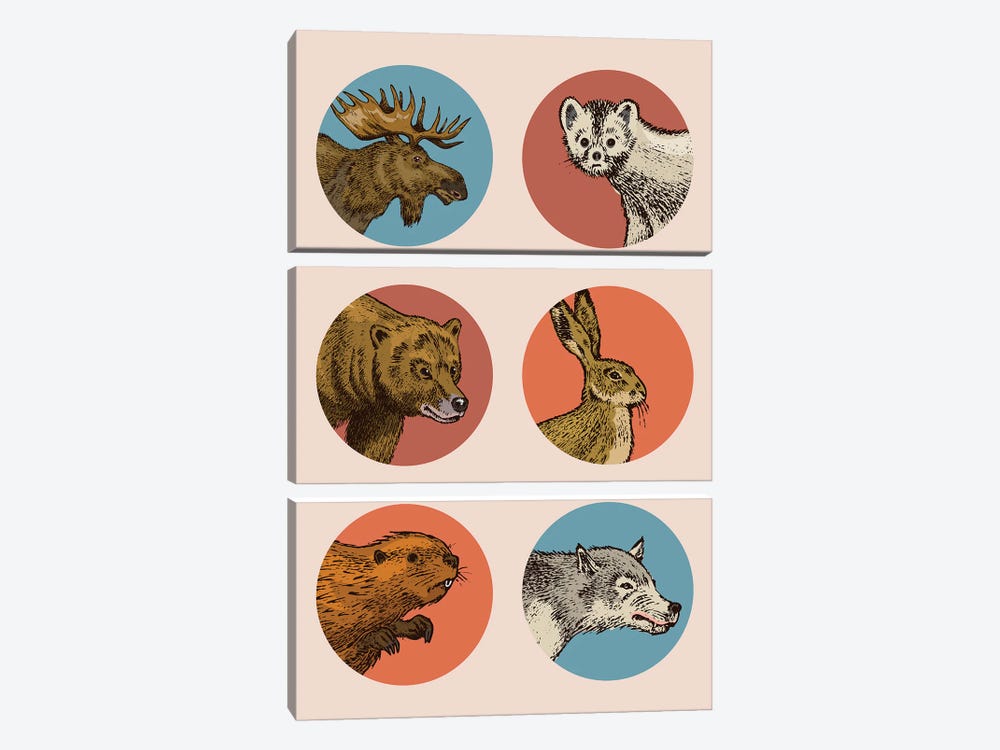 Animal Circles by Jay Stanley 3-piece Canvas Wall Art