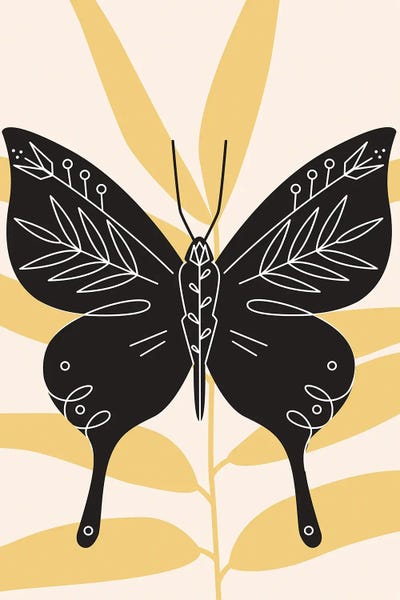 jay stanley: Abstract Butterfly by jay stanley