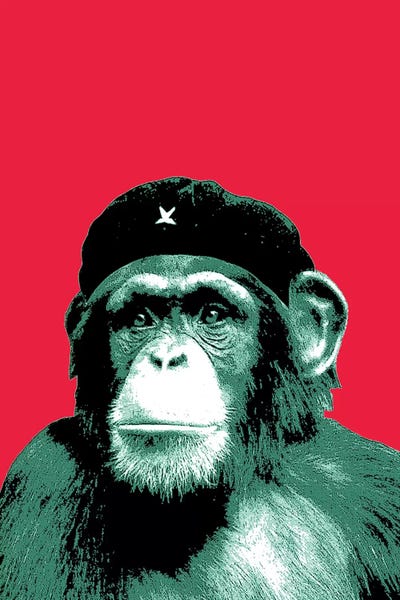 Che Ape by Steez framed wall art