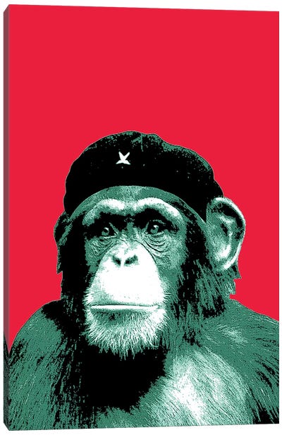 Che Ape Canvas Art Print - Monkey Art