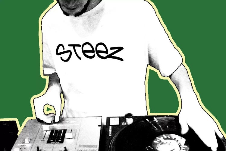 DJ by Steez wall art