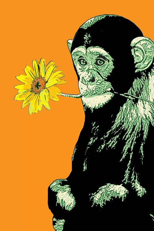 Flower Monkey by Steez wall art