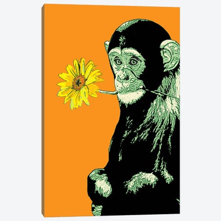 Flower Monkey Canvas Print #STZ31} by Steez Canvas Art