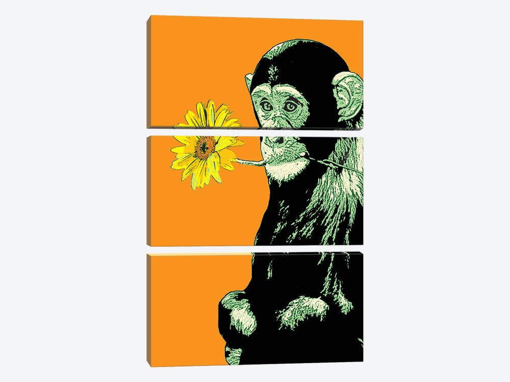 Flower Monkey by Steez 3-piece Canvas Art Print