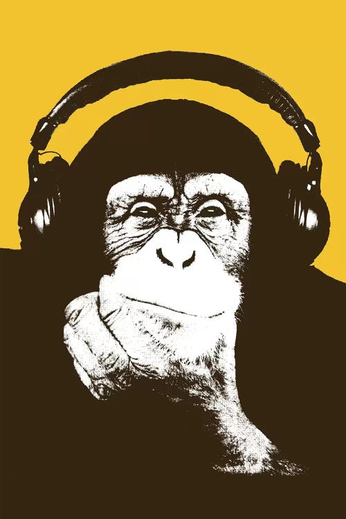 Headphone Monkey by Steez wall art