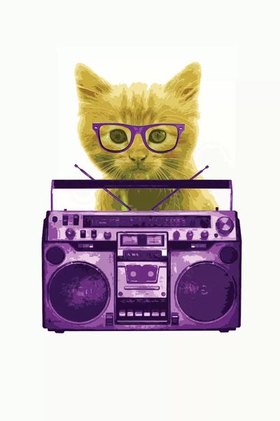 Kittens: Hipster Kitty by Steez