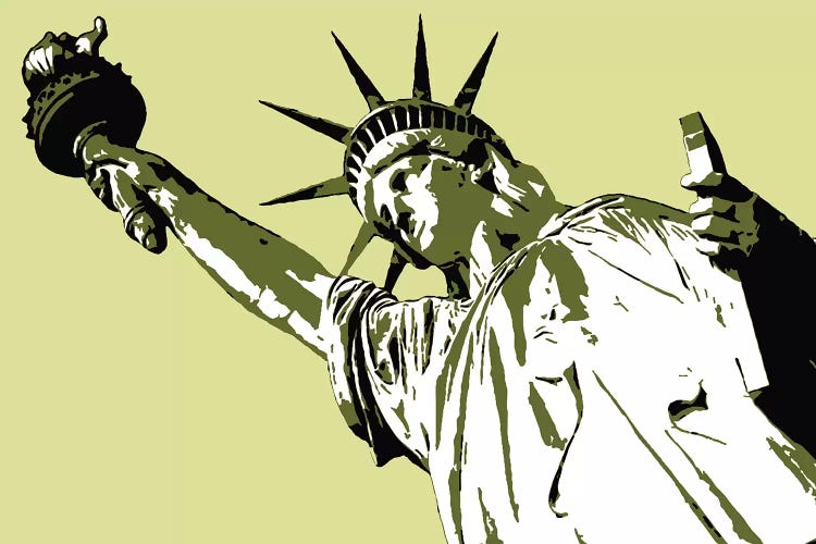 Lady Liberty by Steez wall art
