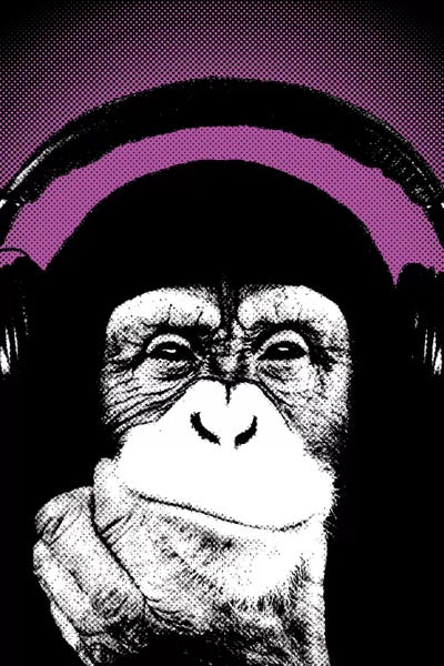 Monkeys: Monkey BL I by Steez