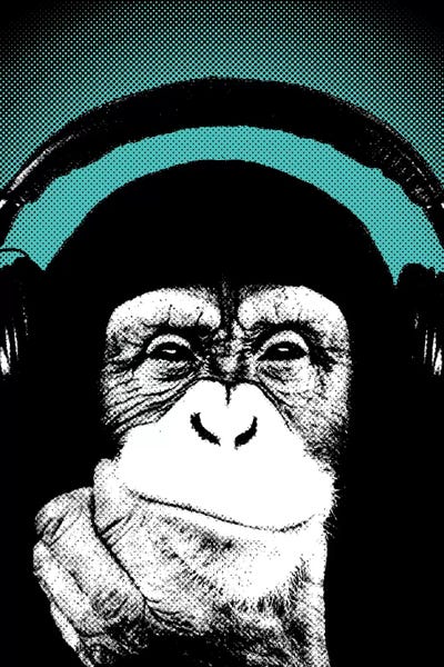 Primates: Monkey BL II by Steez