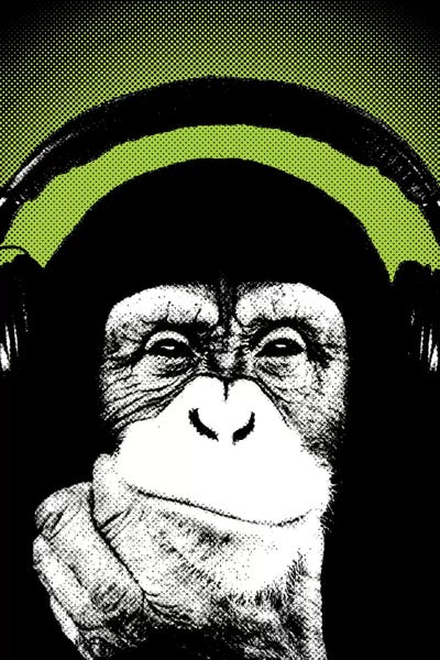 Primates: Monkey BL III by Steez