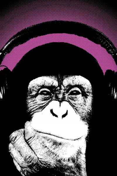 Primates: Monkey BL IV by Steez