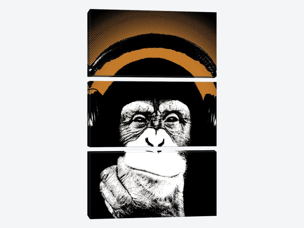 Monkey BL V by Steez 3-piece Canvas Print