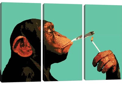 Monkey Joint Time Canvas Art Print - 3-Piece Street Art
