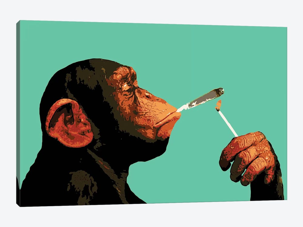 Monkey Joint Time by Steez 1-piece Canvas Artwork