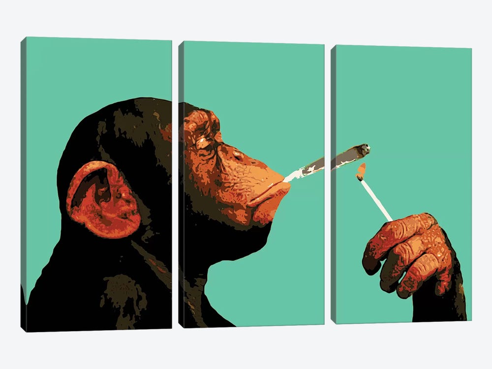 Monkey Joint Time by Steez 3-piece Canvas Art