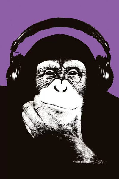 Primates: New Monkey Head IX by Steez