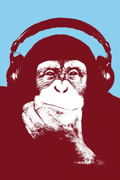 Steez: New Monkey Head V by Steez