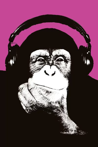 Monkeys: New Monkey Head VII by Steez