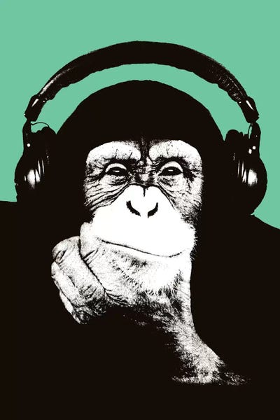 Steez: New Monkey Head VIII by Steez