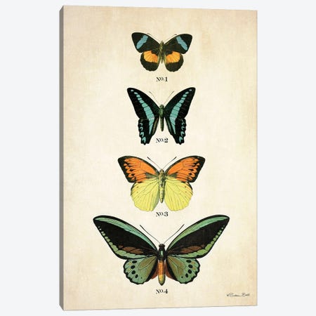 Butterflies II Canvas Print #SUB124} by Susan Ball Canvas Print