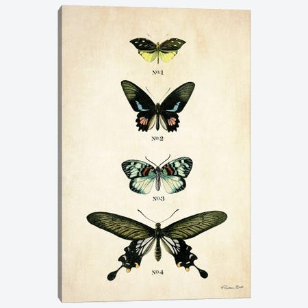 Butterflies III Canvas Print #SUB125} by Susan Ball Art Print
