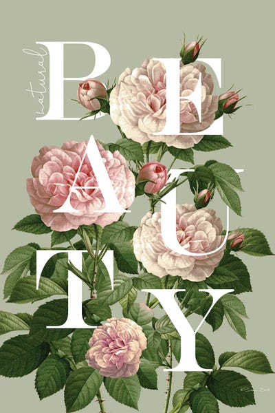 Peonies: Floral Beauty by Susan Ball