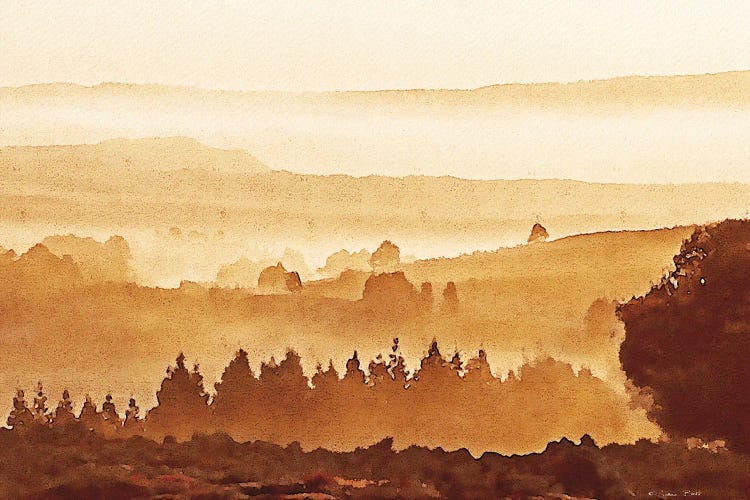 Sunset Over Forest