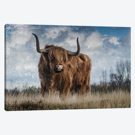 Highland Bull Vintage I Canvas Print #SUB197} by Susan Ball Canvas Wall Art