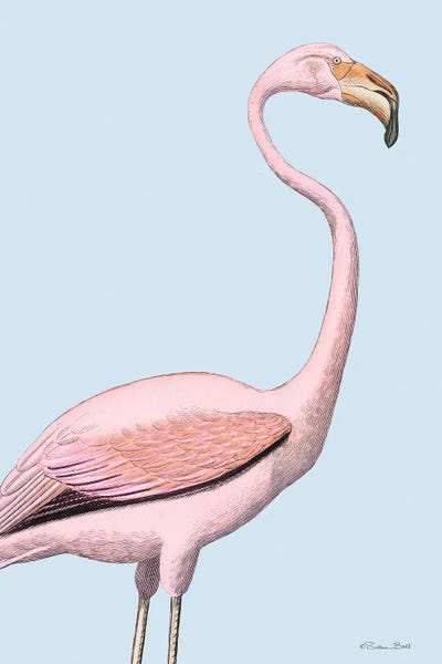 Fine Art Print: Flamingo by Susan Ball