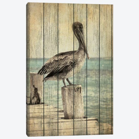 Vintage Pelican I  Canvas Print #SUB76} by Susan Ball Canvas Artwork