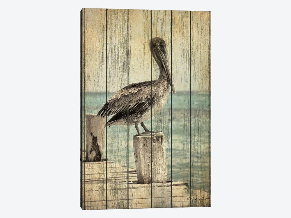 Vintage Pelican I  by Susan Ball 1-piece Canvas Wall Art