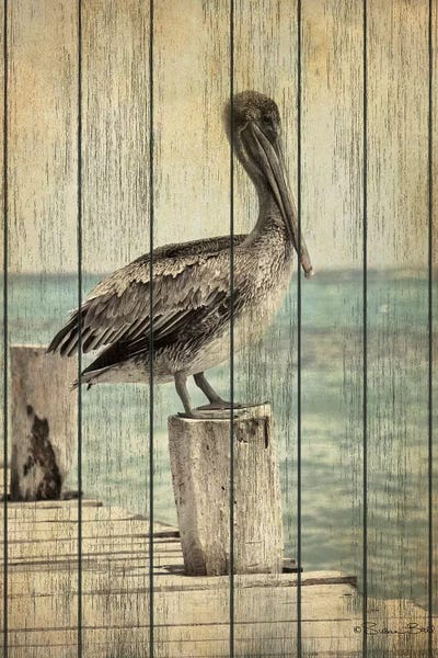 Susan Ball: Vintage Pelican I  by Susan Ball