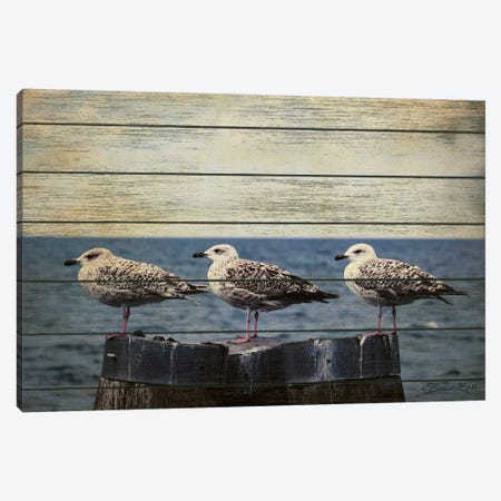 Vintage Seagulls  Canvas Print #SUB78} by Susan Ball Canvas Art Print