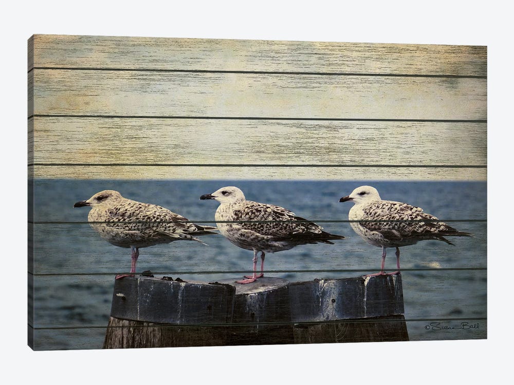 Vintage Seagulls  1-piece Canvas Artwork