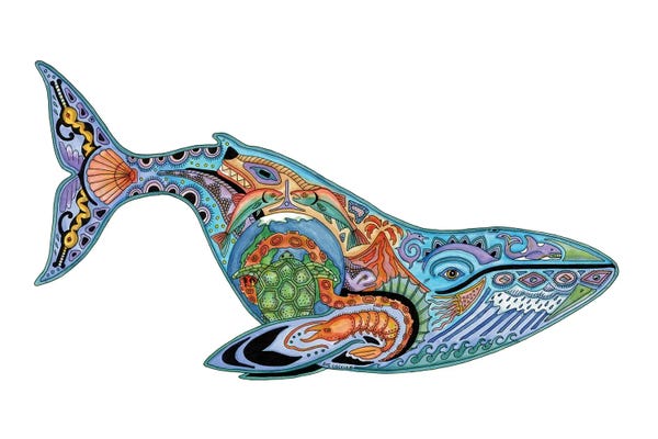 Whales: Blue Whale by Sue Coccia