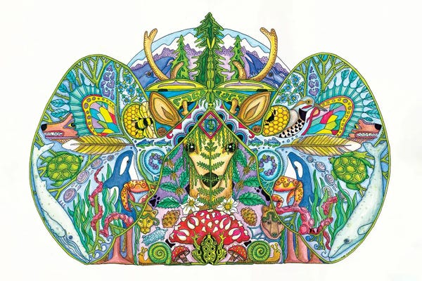 Ladybugs: Cascadia by Sue Coccia