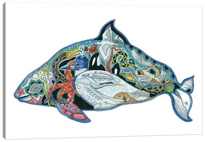 Dall's Porpoise Canvas Art Print - Dolphin Art