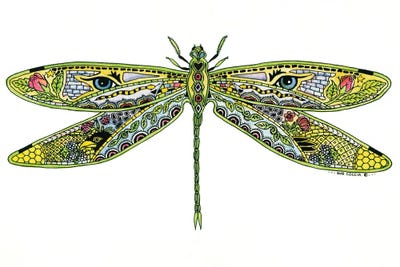 Dragonfly by Sue Coccia canvas print
