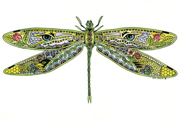 Ladybugs: Dragonfly by Sue Coccia