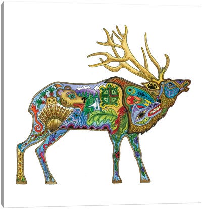 Elk Canvas Art Print - Sue Coccia