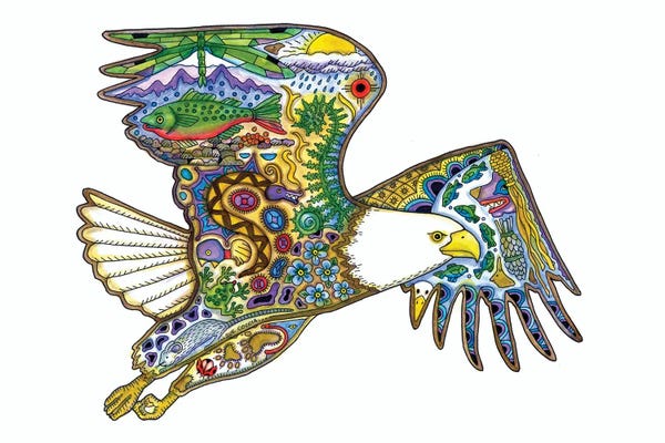 Ladybugs: Bald Eagle by Sue Coccia