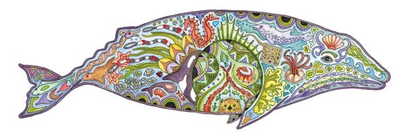 Ladybugs: Gray Whale by Sue Coccia