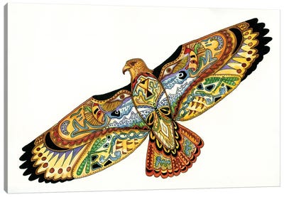 Hawk Canvas Art Print - Ladybug Art