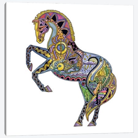 Horse Canvas Print #SUC39} by Sue Coccia Canvas Artwork