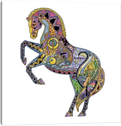 Horse Canvas Art Print - Sue Coccia