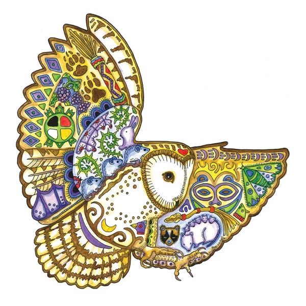 Ladybugs: Barn Owl by Sue Coccia